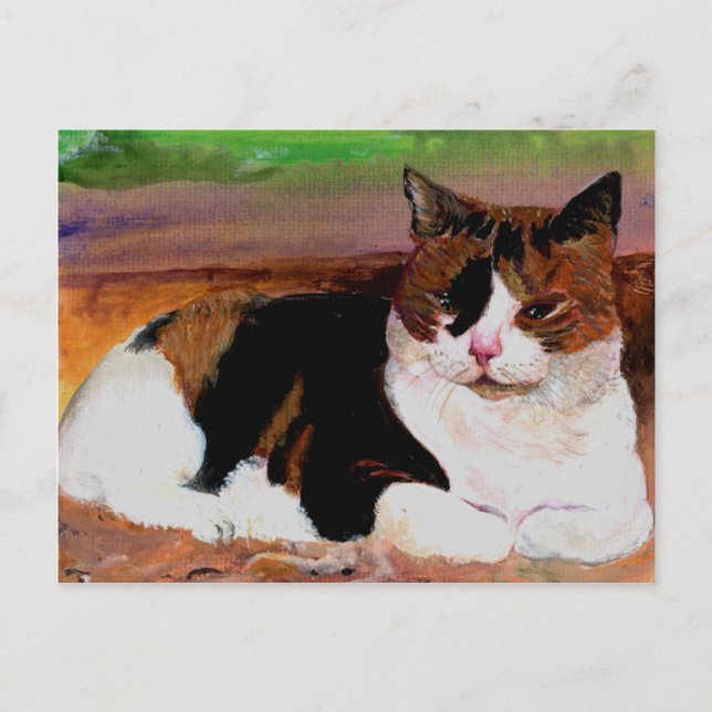 Postal Calico Cat (Anverso)