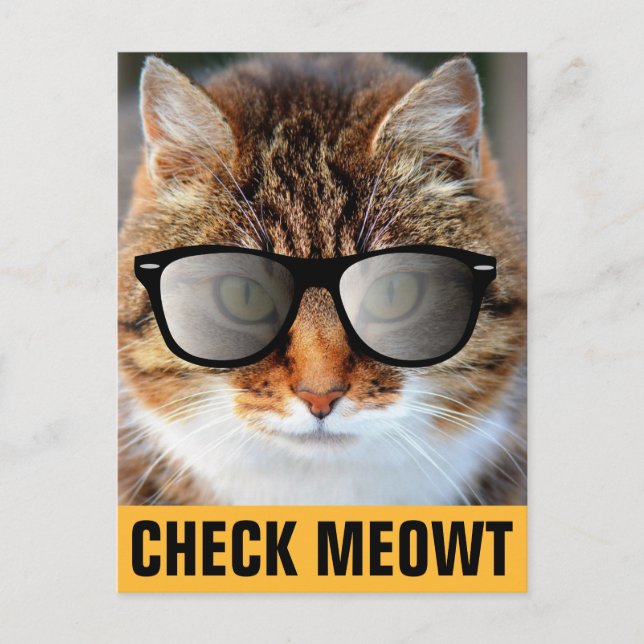 POSTAL CALICO CAT CON SUNGLASSES POSTCARDS (Anverso)