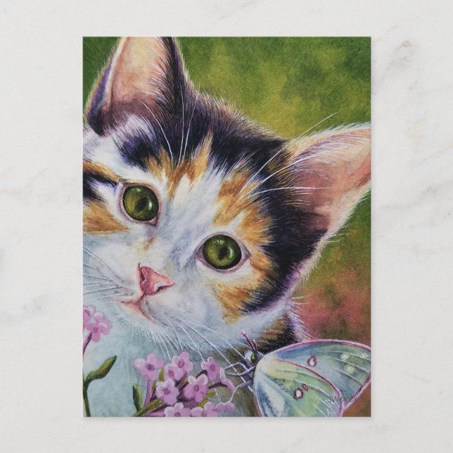 Postal Calico Kitten y Sulfur Butfly Watercolor Art (Anverso)