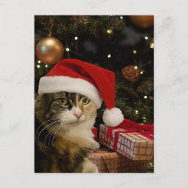 Postal Calico Santa Kitty Postcard