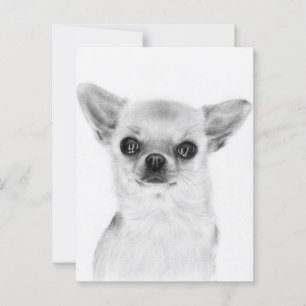 Postal Cálida mirada - Pintura de arte de Chihuahua a man