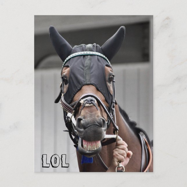 Postal Calidad de primavera (Anverso)