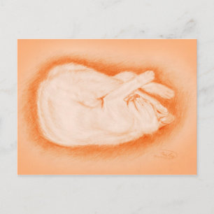 Postal Cálido como una luciérnaga