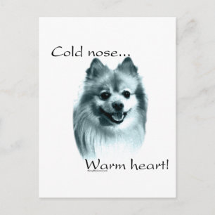 Postal Cálido corazón de Nariz Fría de Pomerania