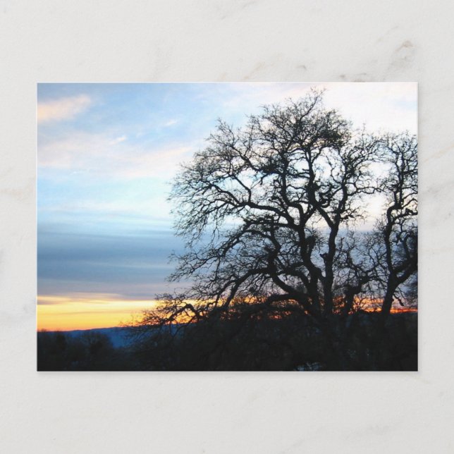 Postal California (Anverso)