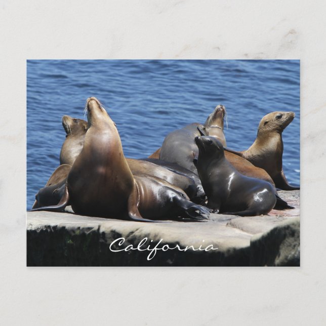 Postal California (Anverso)