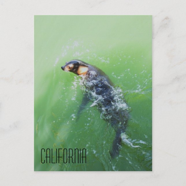 Postal California (Anverso)