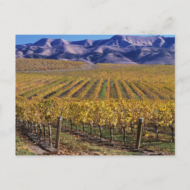 Postal California, Condado de San Luis Obispo, Valle Edna (Anverso)