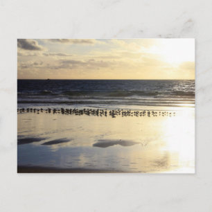 Postal California - Manhattan Beach. K