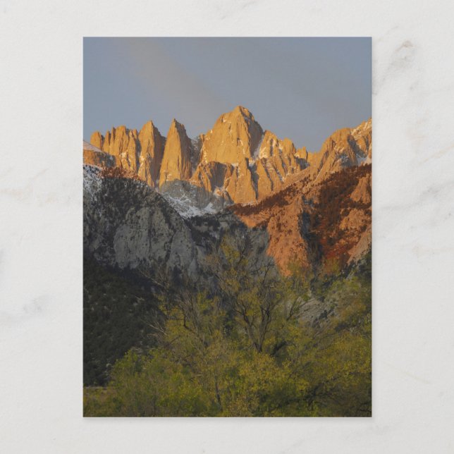 Postal California, Monte Whitney, Bosque Nacional Inyo 3 (Anverso)