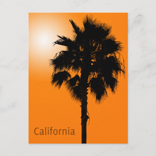 Postal California Palm (Anverso)