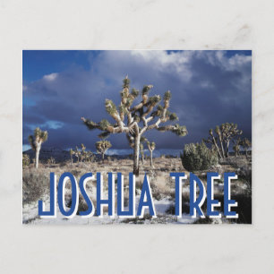Postal California, Parque Nacional del Árbol Joshua