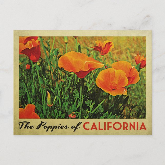 Postal California Poppies (Anverso)