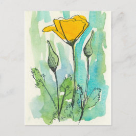 Postal California Poppy Flower Bloom Spring Green