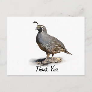 POSTAL CALIFORNIA QUAIL - GRACIAS