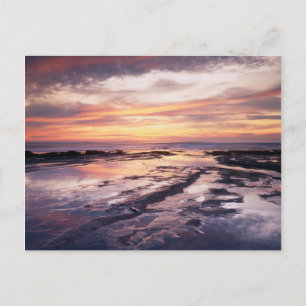 Postal California, San Diego, Sunset Cliffs, Sunset 1