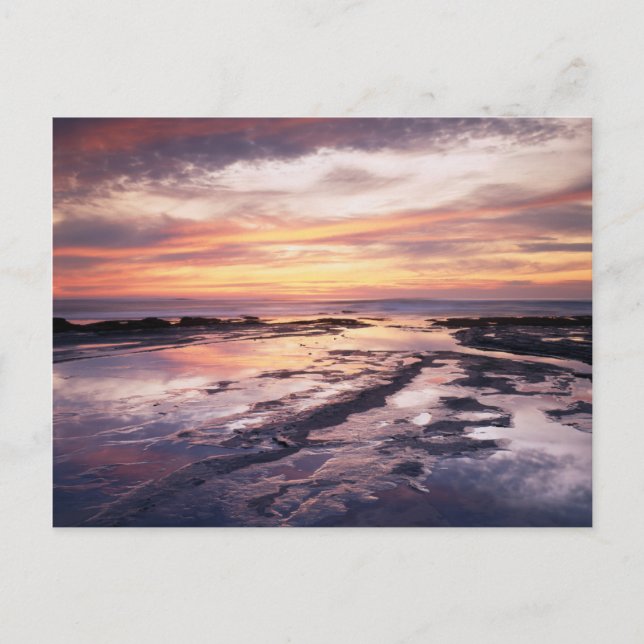 Postal California, San Diego, Sunset Cliffs, Sunset 1 (Anverso)