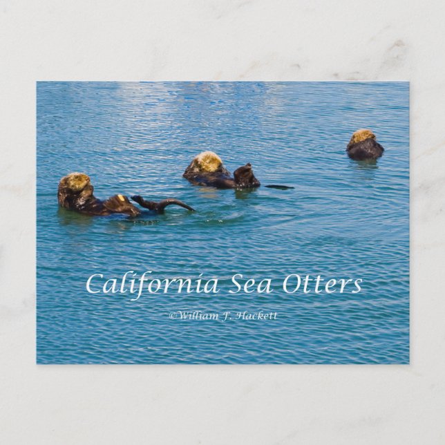 Postal California Sea Otter California Products (Anverso)