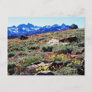 Postal California, Sierra Nevada Montañas 1
