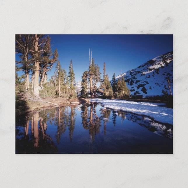 Postal California, Sierra Nevada Montañas 2 (Anverso)
