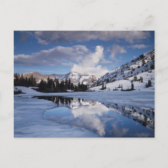 Postal California, Sierra Nevada Mountains, Dana Peak (Anverso)