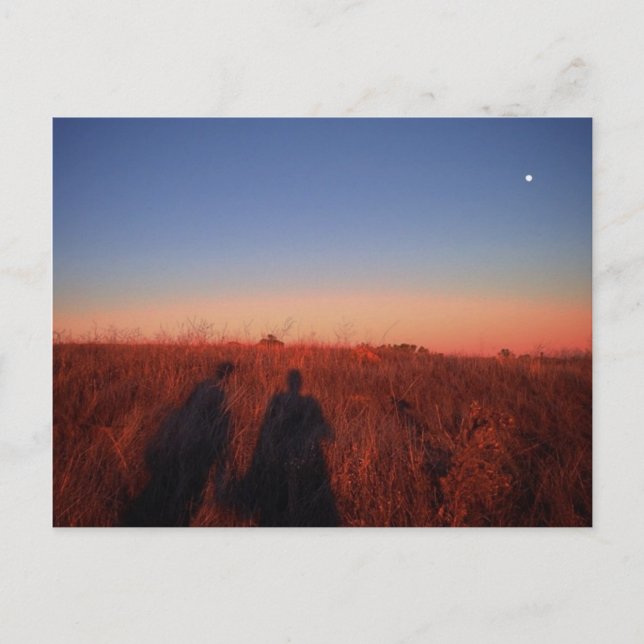 Postal California Sunset (Anverso)