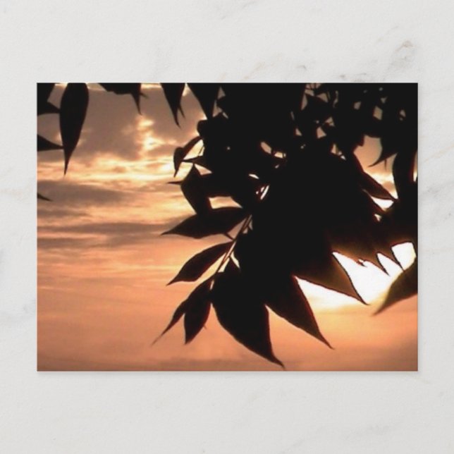 Postal california sunset (Anverso)