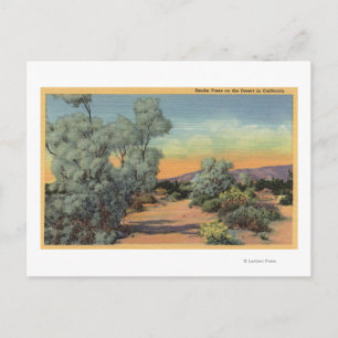 Postal California: Vista de los árboles de humo en el des