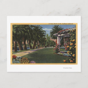 Postal CaliforniaA Palm Shaded Walk