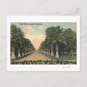 Postal CaliforniaPalms al lado de la carretera