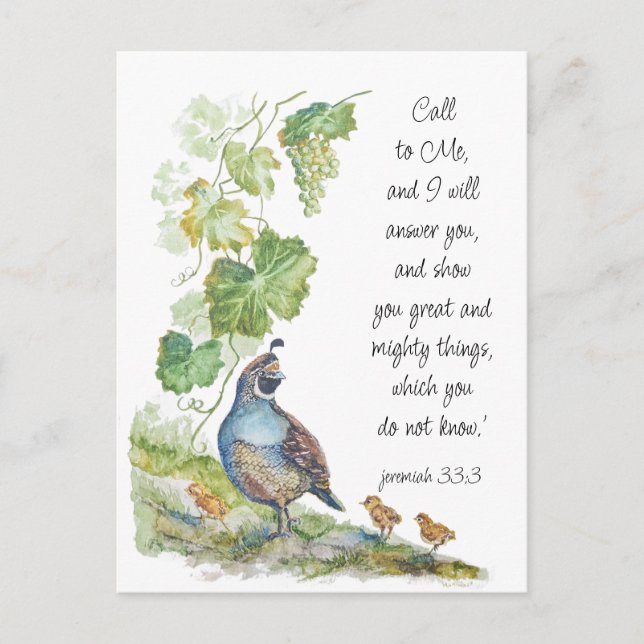 Postal Call to Me Scripture Inspiration California Quail  (Anverso)
