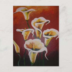 Postal Calla Blanca Lilies Flores De Corte Artísticas En
