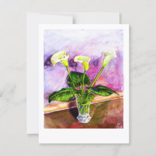 Postal Calla Lilies