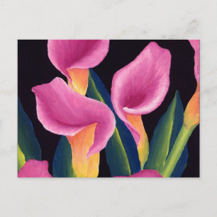 Postal Calla lilies