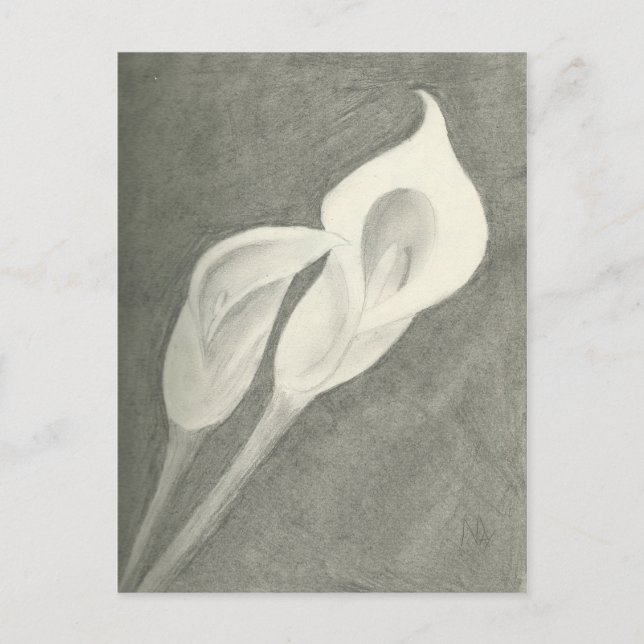 Postal Calla Lilies (Anverso)
