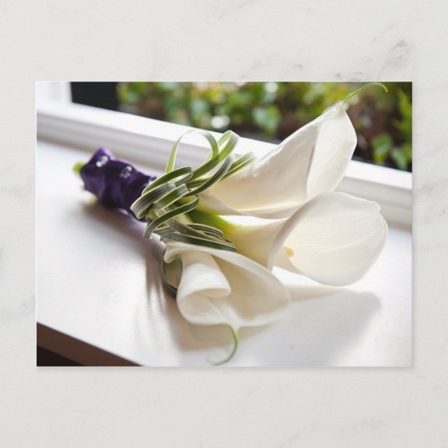 Postal Calla Lily Card (Anverso)