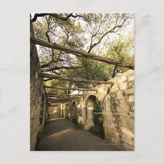Postal Calle de San Antonio, Texas (Anverso)