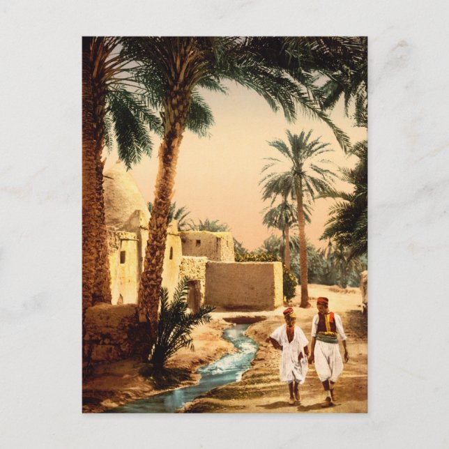 Postal Calle en la ciudad vieja, Biskra, Argelia (Anverso)
