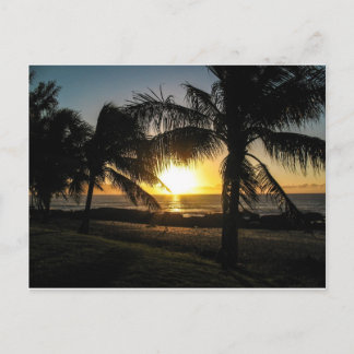 Postal Calle Hawaii Sunset Sharks