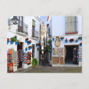Postal Calleja de las Flores