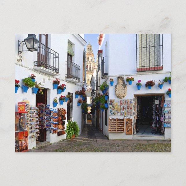 Postal Calleja de las Flores (Anverso)