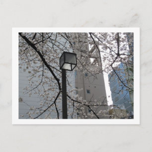 Postal Calles de Tokio: Yushima