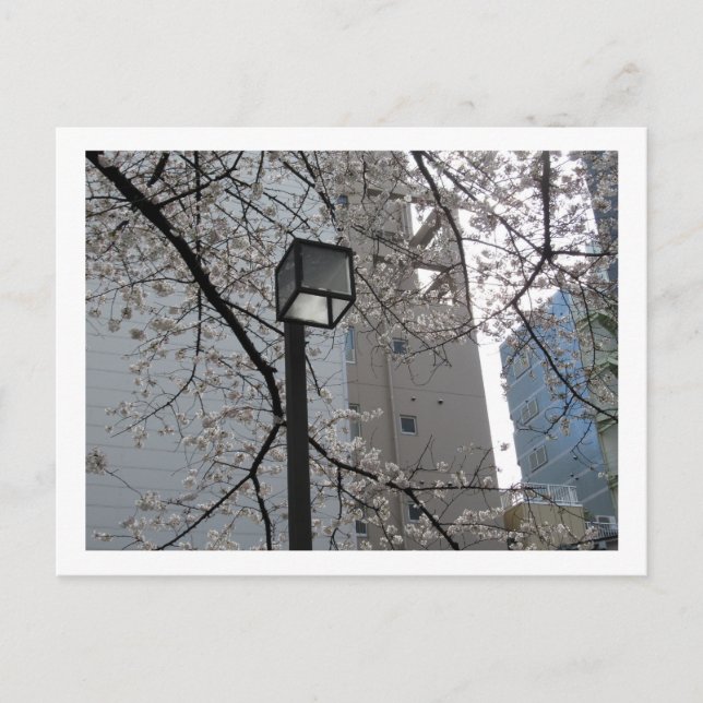 Postal Calles de Tokio: Yushima (Anverso)