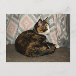 Postal Callie Cat en Sofa