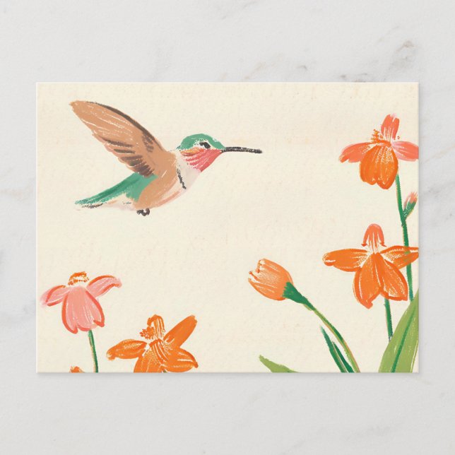 Postal Calliope Hummingbird en vuelo (Anverso)