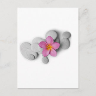 Postal Calma del Frangipani