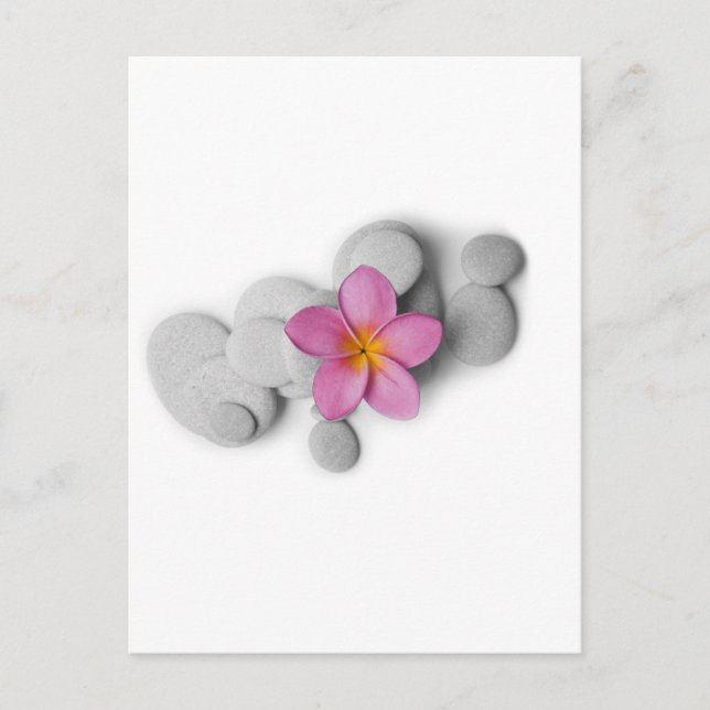 Postal Calma del Frangipani (Anverso)
