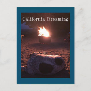 Postal Calvin el perro durmiente