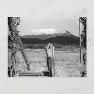 Postal Cámara de Bluebird