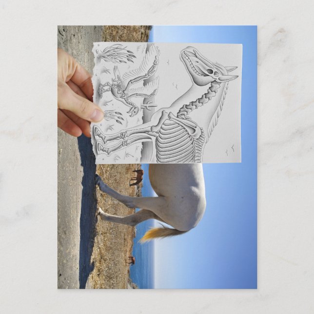 Postal Cámara Lápiz Vs - Rayo X (Anverso)